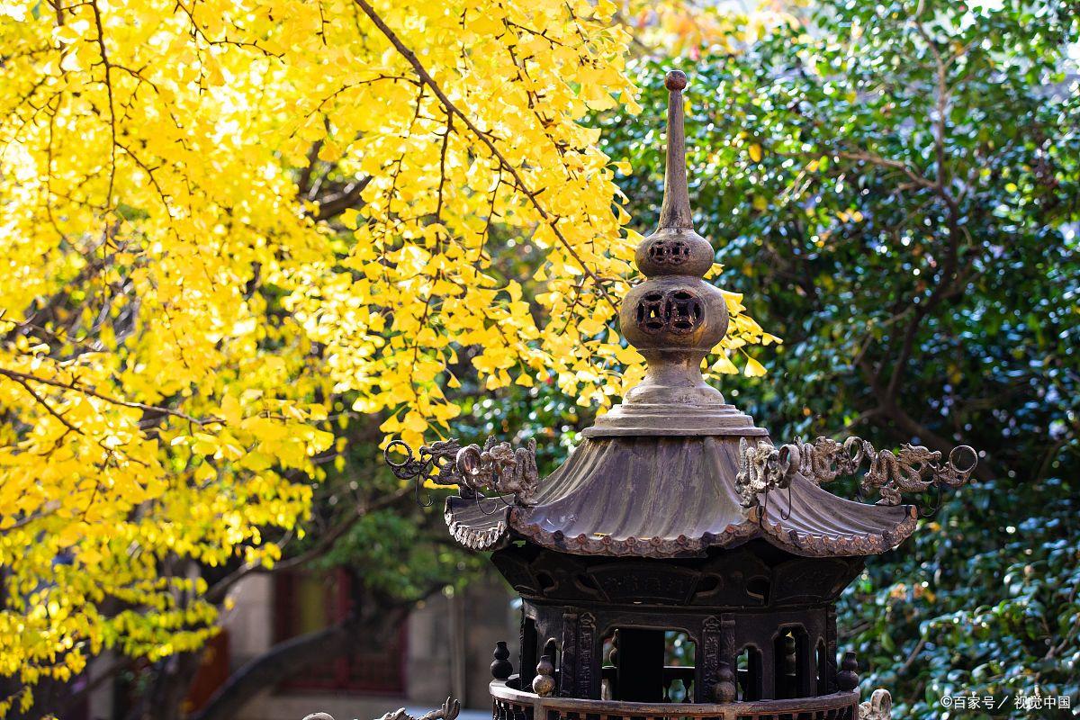 吐槽青岛坑人景区,被游客吐槽的景点其实应该这样玩