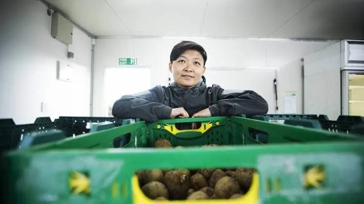 长得丑被抛弃,长得丑被人抛弃