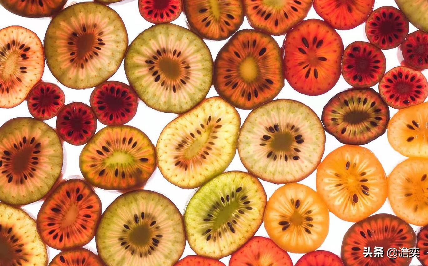 猕猴桃新西兰奇异果,奇异果新西兰猕猴桃