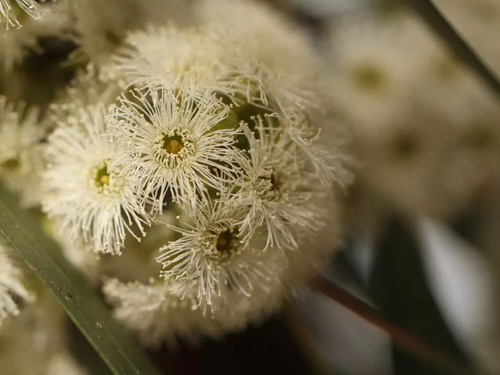 北仑疫情还回得了家吗,北仑疫情出不去了么