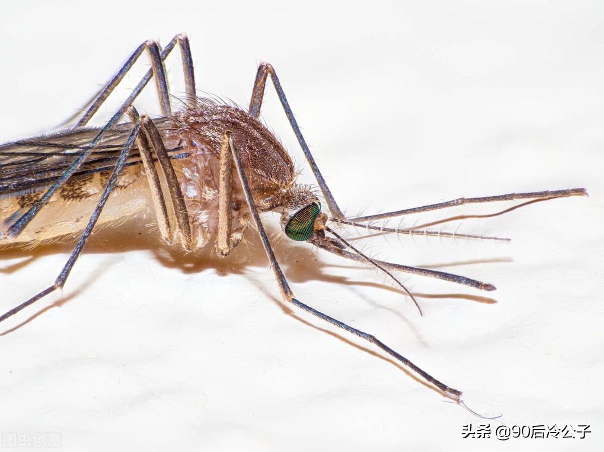 楼房二楼有什么缺点,二楼的优点和缺点