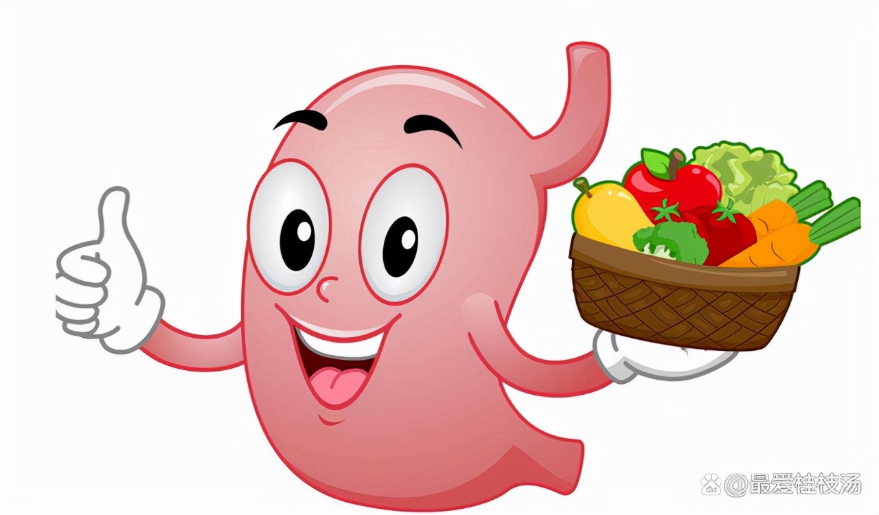 蒲公英是纯天然的抗生素,蒲公英是天然的抗生素