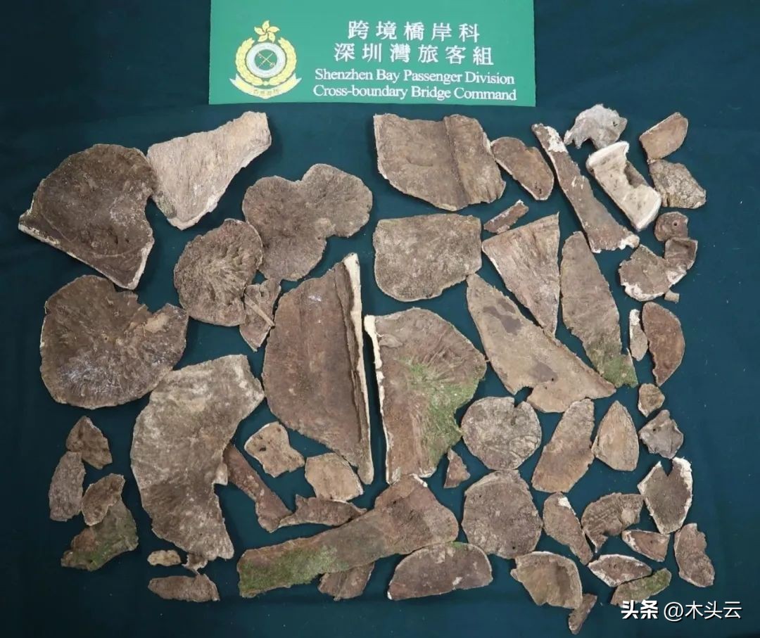 香港海关查获固体冰毒1.8吨,香港海关破3100万元走私案