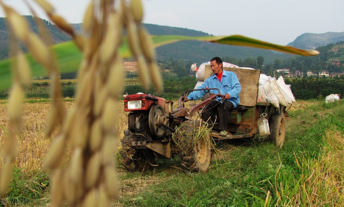 冬天拖拉机冷的时候怎么发动,手扶拖拉机天冷难启动怎么办