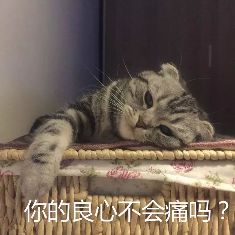 买名牌，退假货，非法获利89万，怎么判？