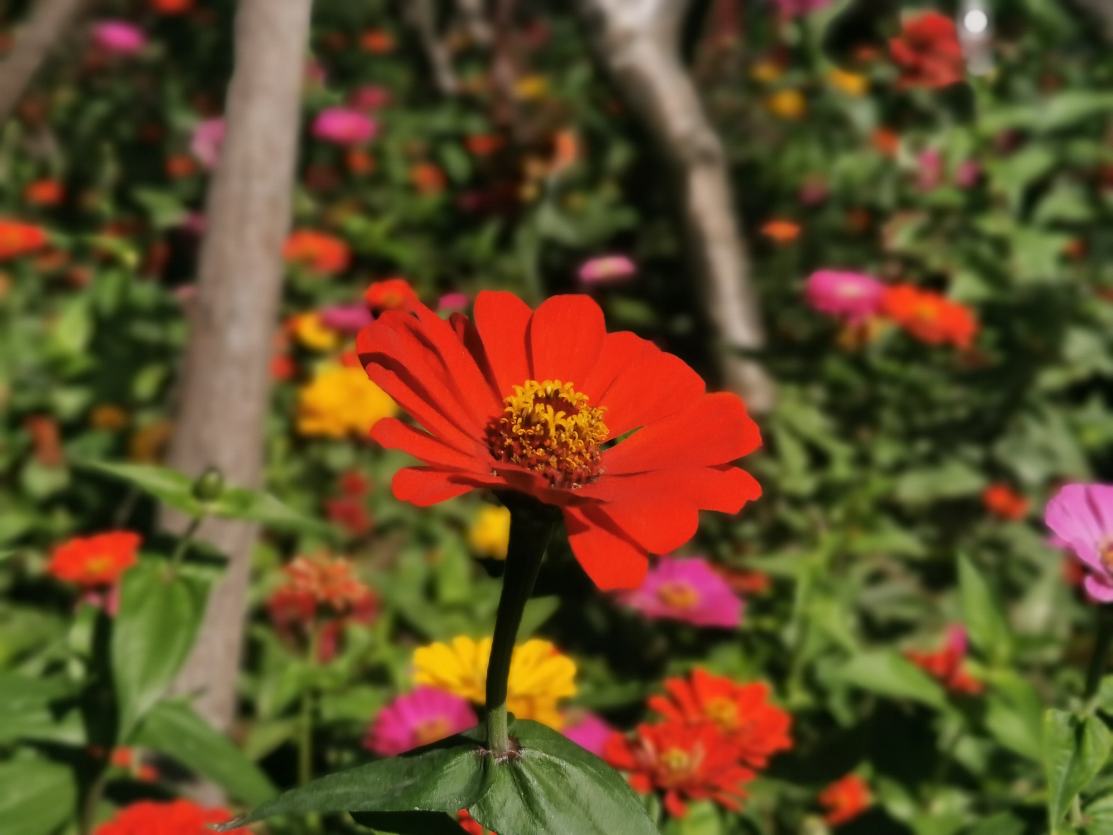 厦门小众海滩,厦门小众景点排行榜前十名