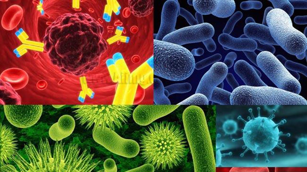 辟谣丨抗生素就是消炎药吗？两大常用抗生素，很多人都用错了