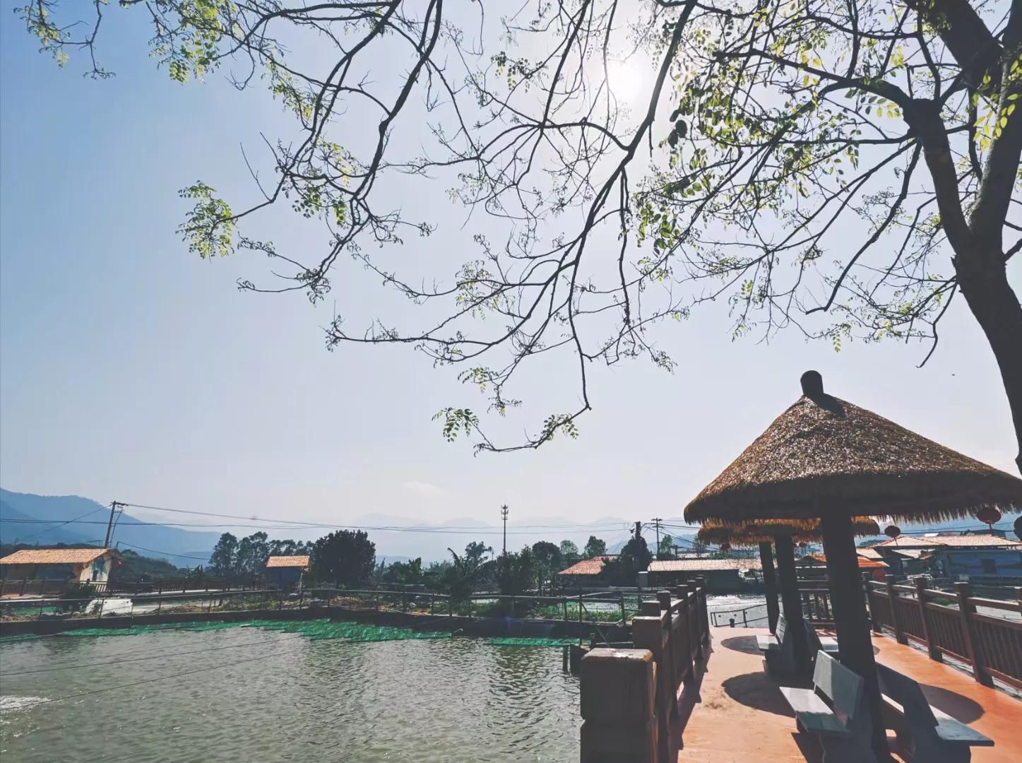 最好吃的淡水鱼排行榜,最好吃的淡水鱼品种大全