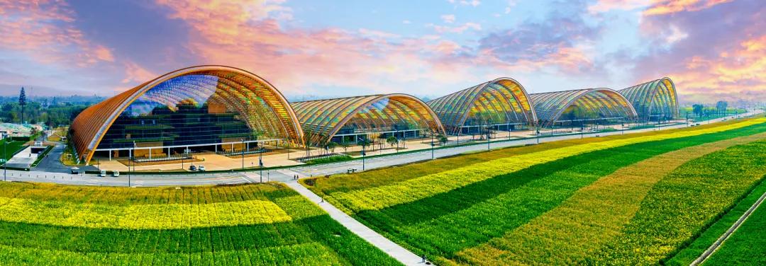 成都创意农业,成都市创意农业
