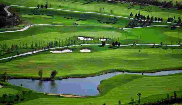 为什么有无倒刺鱼钩,野钓鱼钩用有倒刺还是无倒刺的