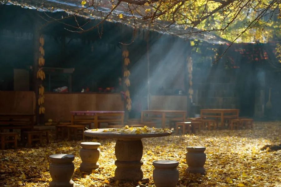 古人的21种交情图片带字,古代的40种交情你知道多少