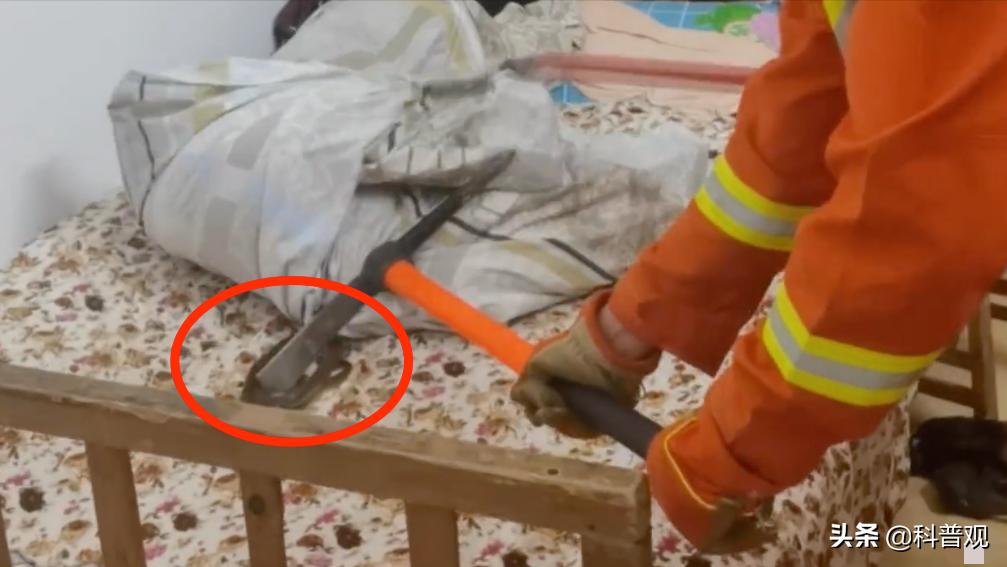 又是蛇！江西老人在被窝里摸到蛇，这种情况该如何处理？