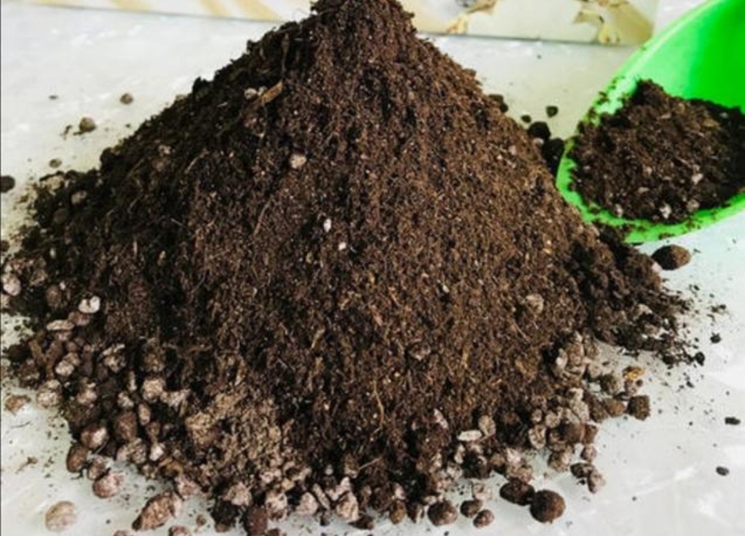 养花的旧土怎样培植成营养土,怎样培育肥沃的养花土