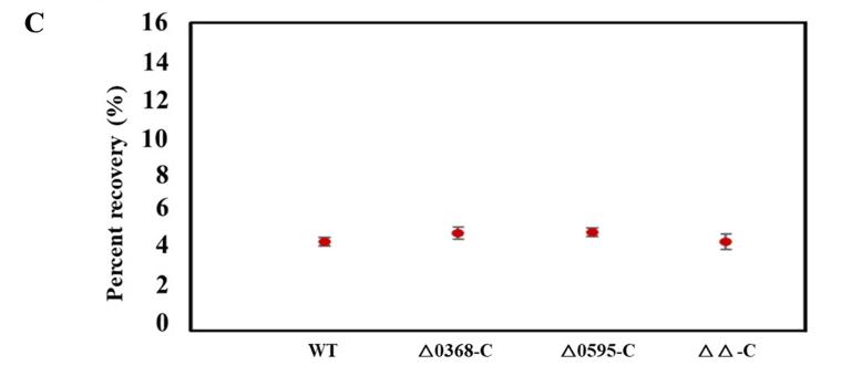 蛋白质组学基因组学转录组学,蛋白质组学在肿瘤的应用