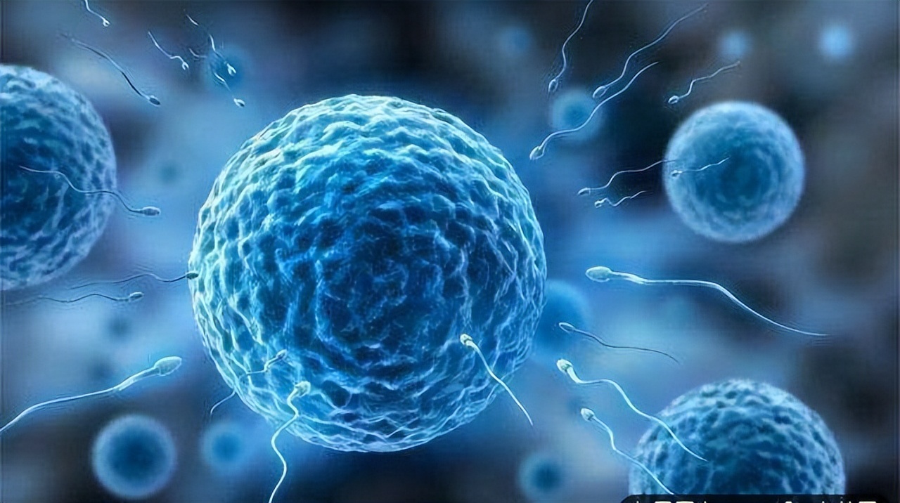 男生手指细长和个子有关吗,男性和女性的手指长短