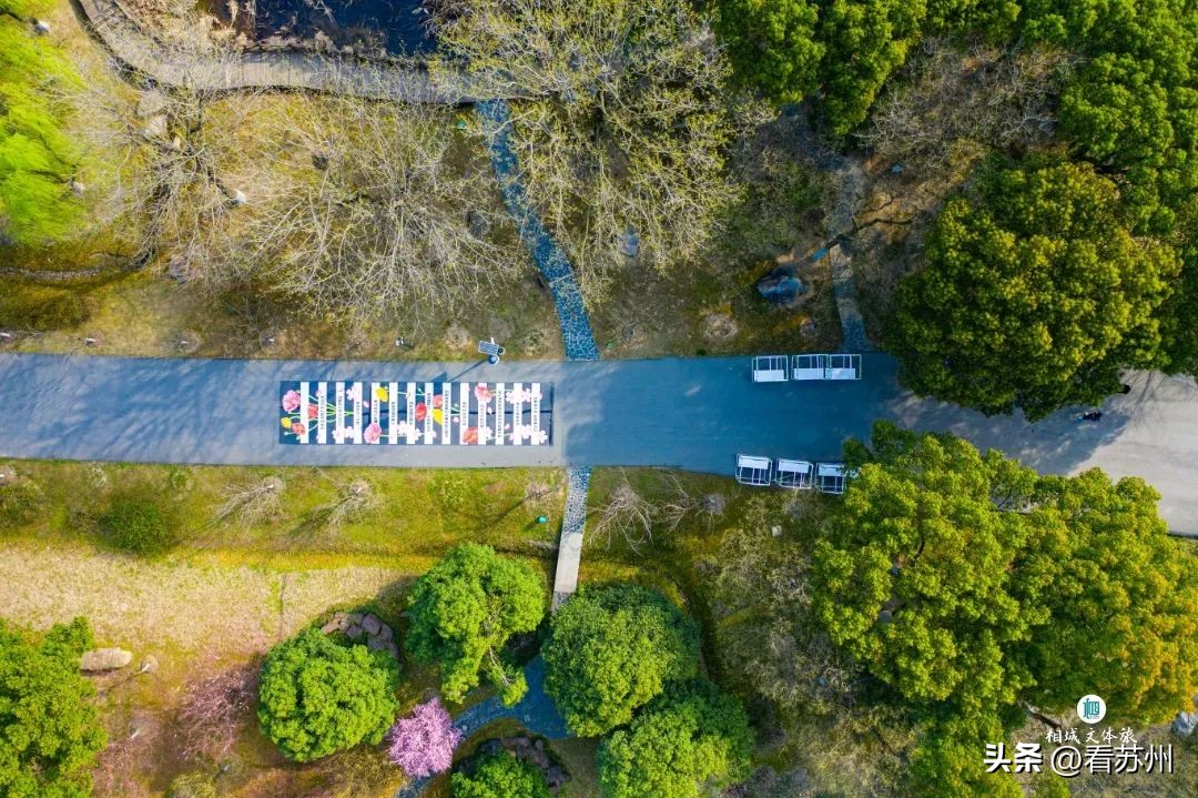 苏州赏花的地方,苏州三月中旬赏花去处