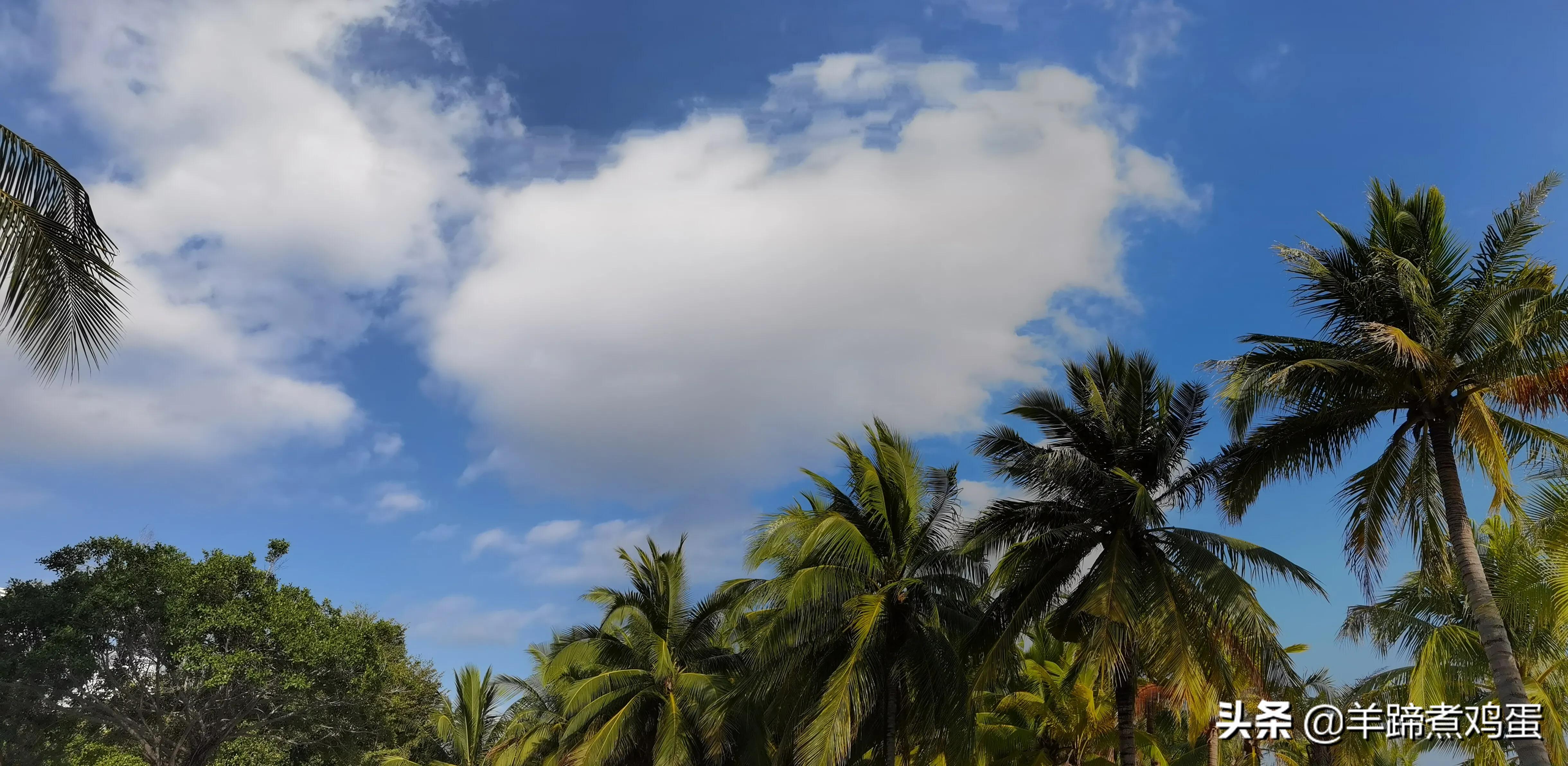 三亚椰梦长廊日落绝美,三亚湾椰梦长廊看夕阳最佳观赏点
