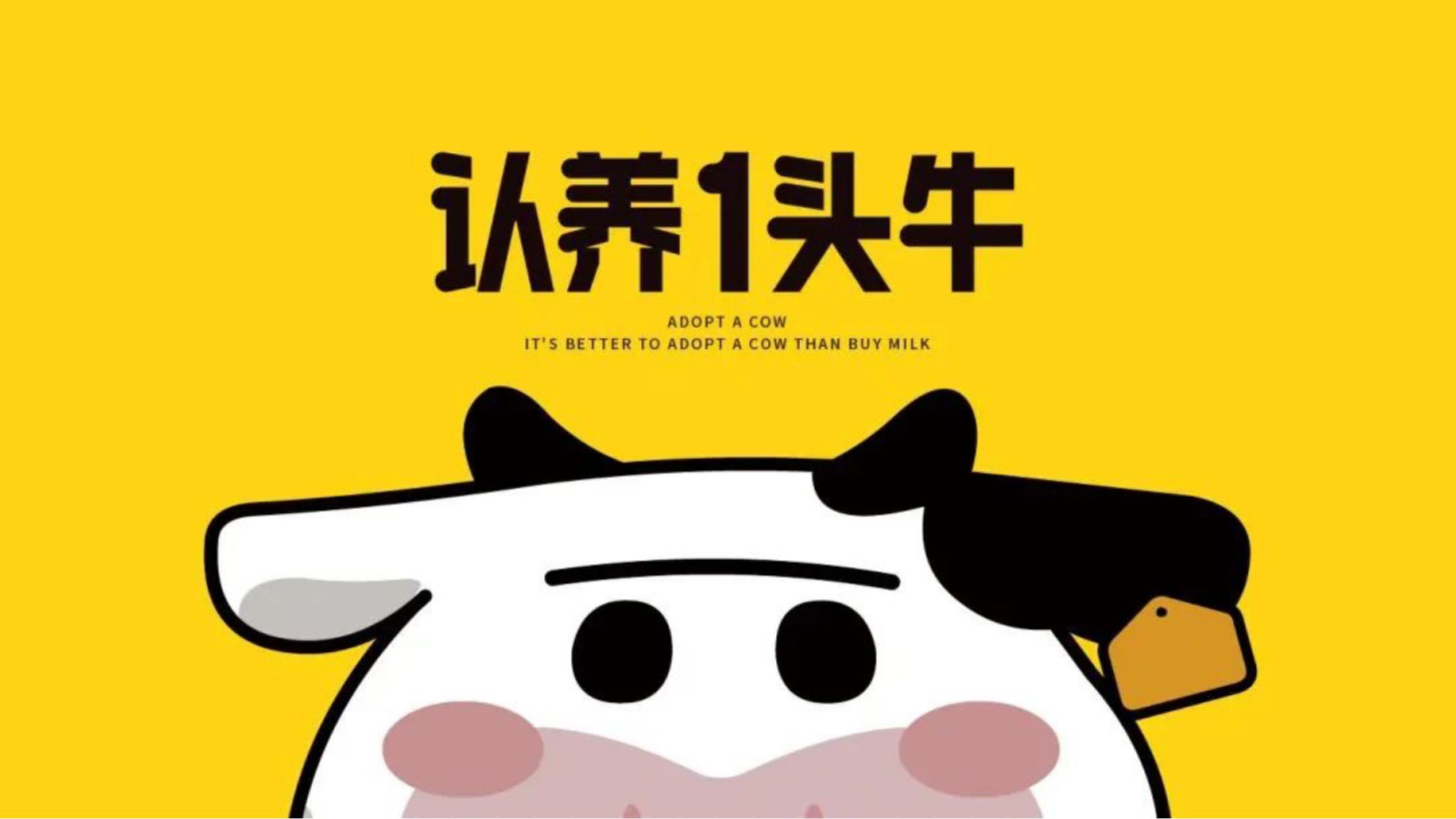 认养一头牛产品事件营销,认养一头牛企业及品牌分析