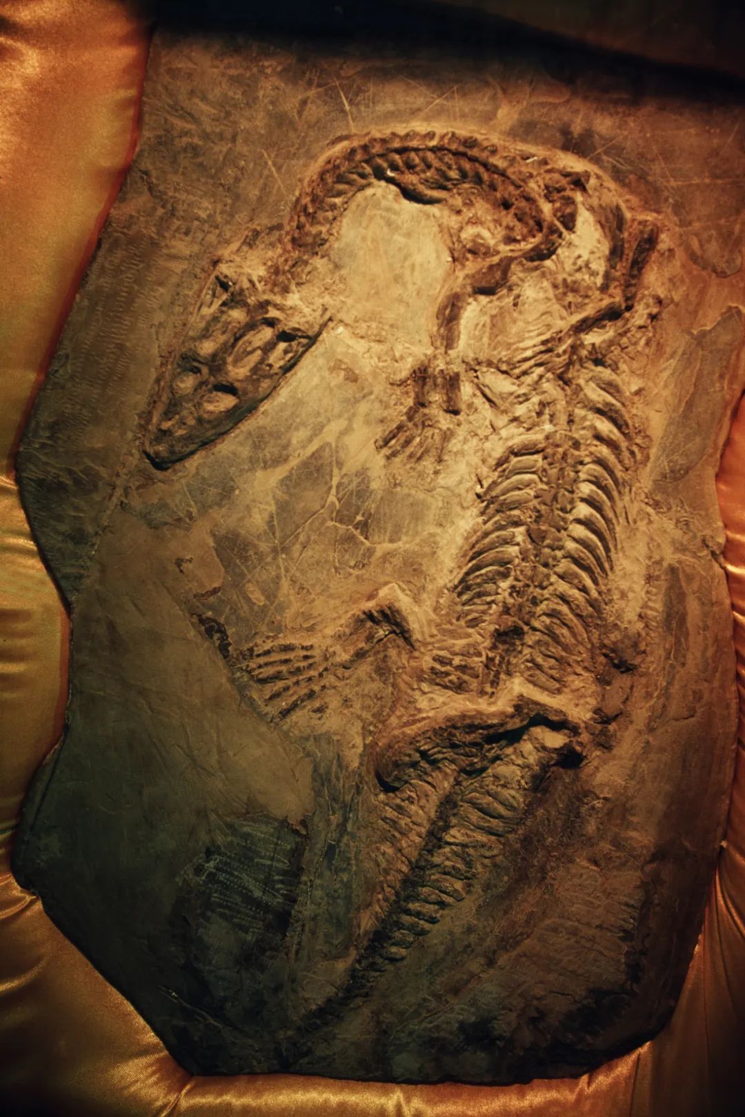 怎样全面了解中国历史,如何全方位读懂中国历史