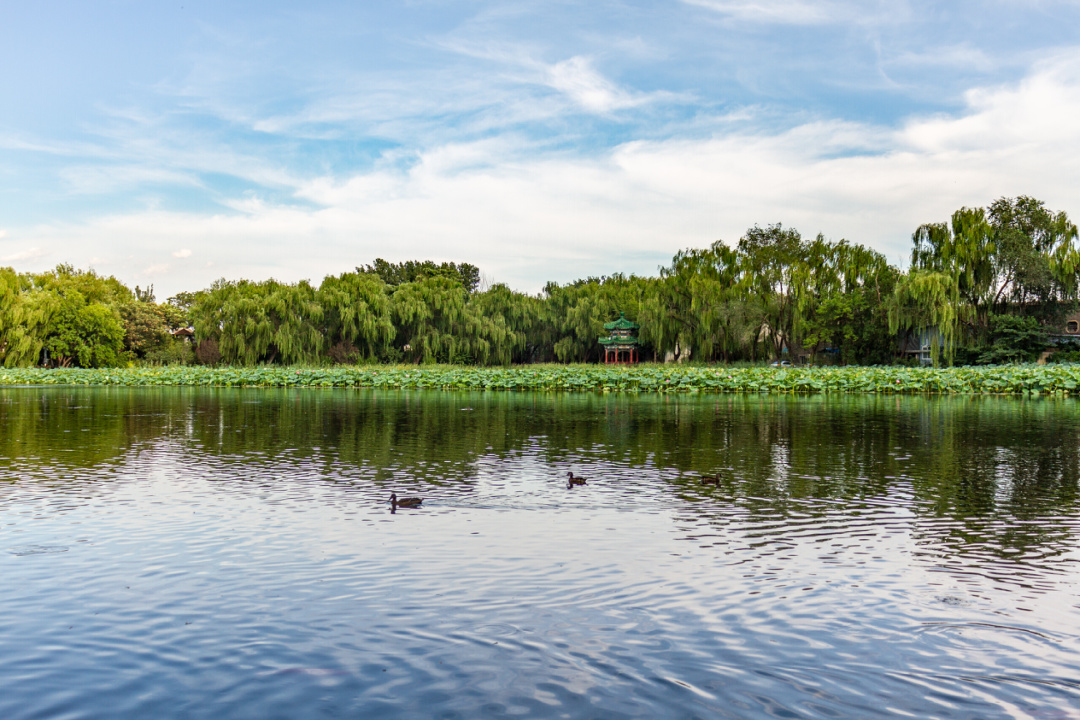 鏄ユ棩鑻忓窞鏃呮父鏀荤暐,鑻忓窞鏄ユ棩鏃呮父鎺ㄨ崘
