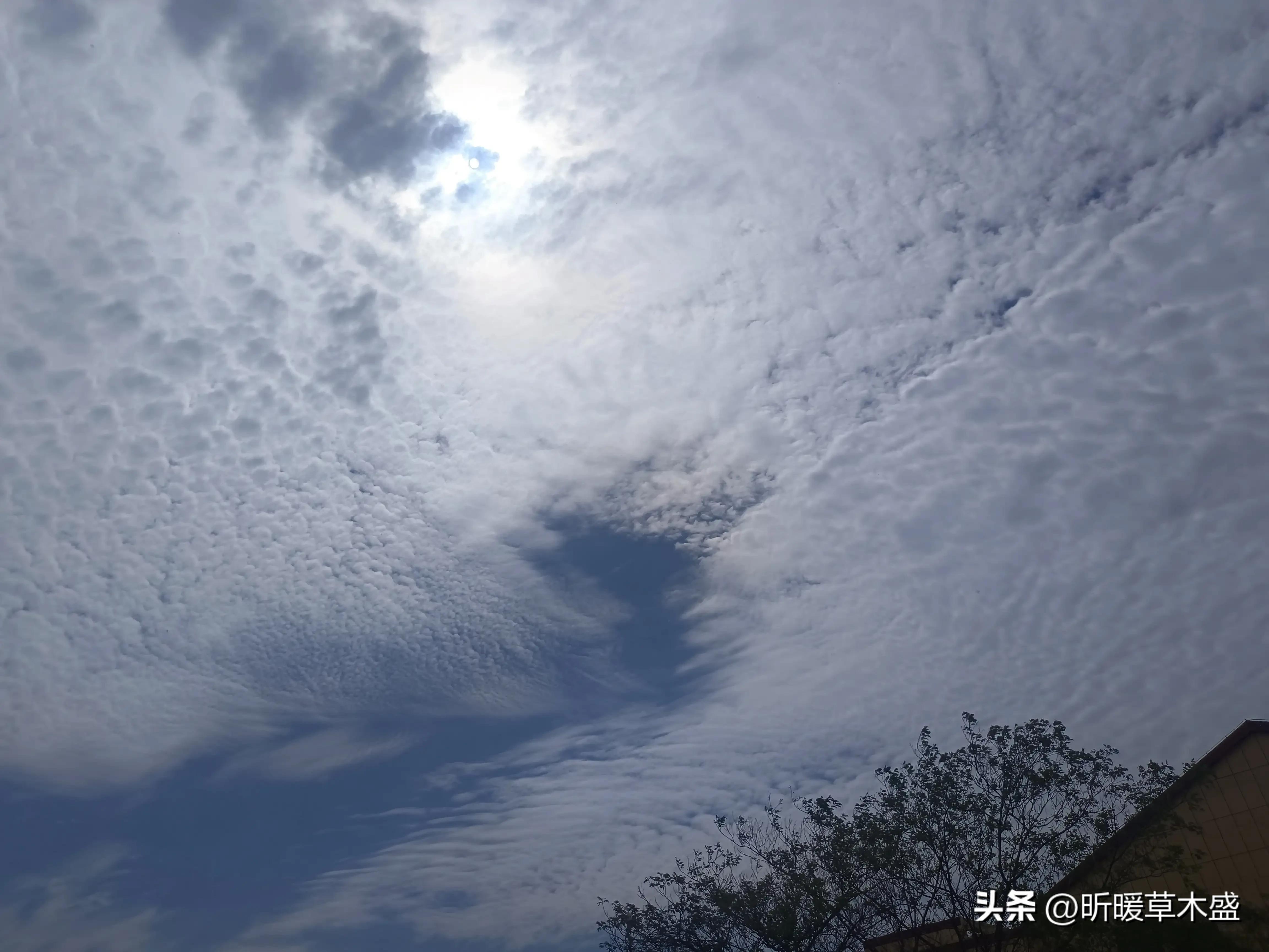 人活着不必计较得与舍,人活着不必那么累