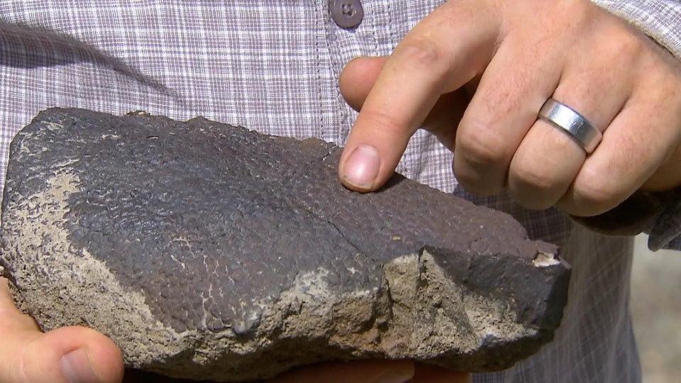 美国女人的收藏品，全美服装比赛上的佳丽，40张照片带你看全球