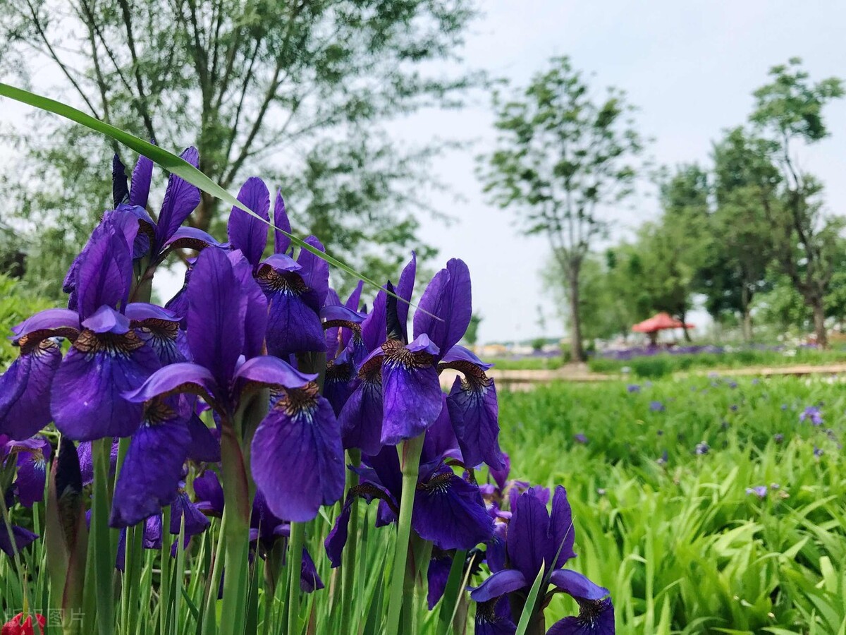 真正高情商的人往往看什么,一个真正的高情商者的十大特征