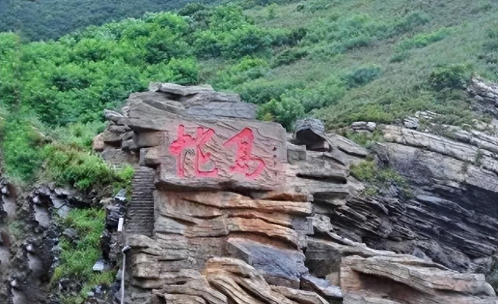 蛇岛生态链惊现老鼠吃蛇,2万条蛇成口粮引关注