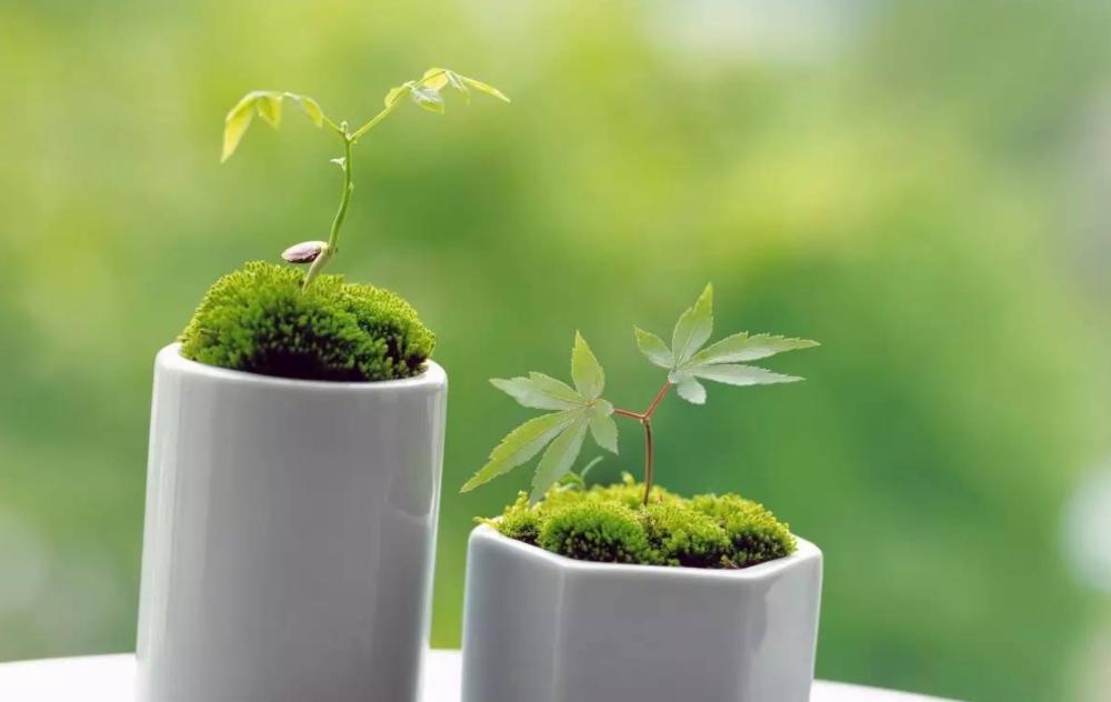 诺森柏格空气净化器,诺森柏格空气净化器测评