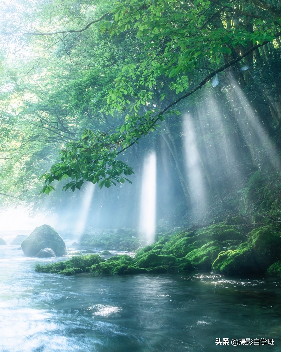 手机拍照零基础入门摄影技巧,你也可以轻松拍出电影感的照片