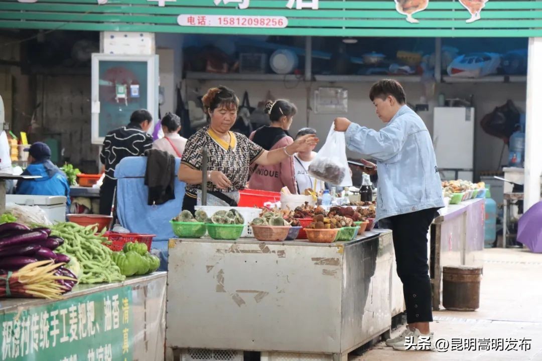 孩子开车撞人去自首,儿子开车撞人最后自首