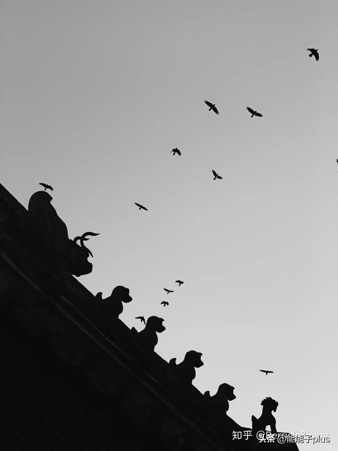 iphone12相机美颜怎么开,iphonex相机最佳设置