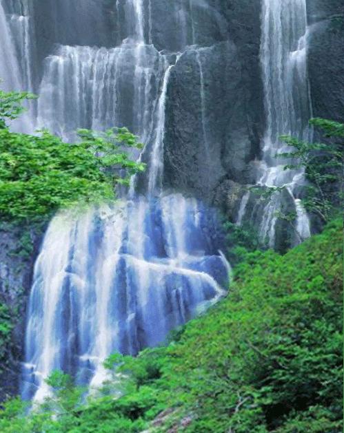 世界最美山水花鸟高清图片,精美山水花鸟图片大全