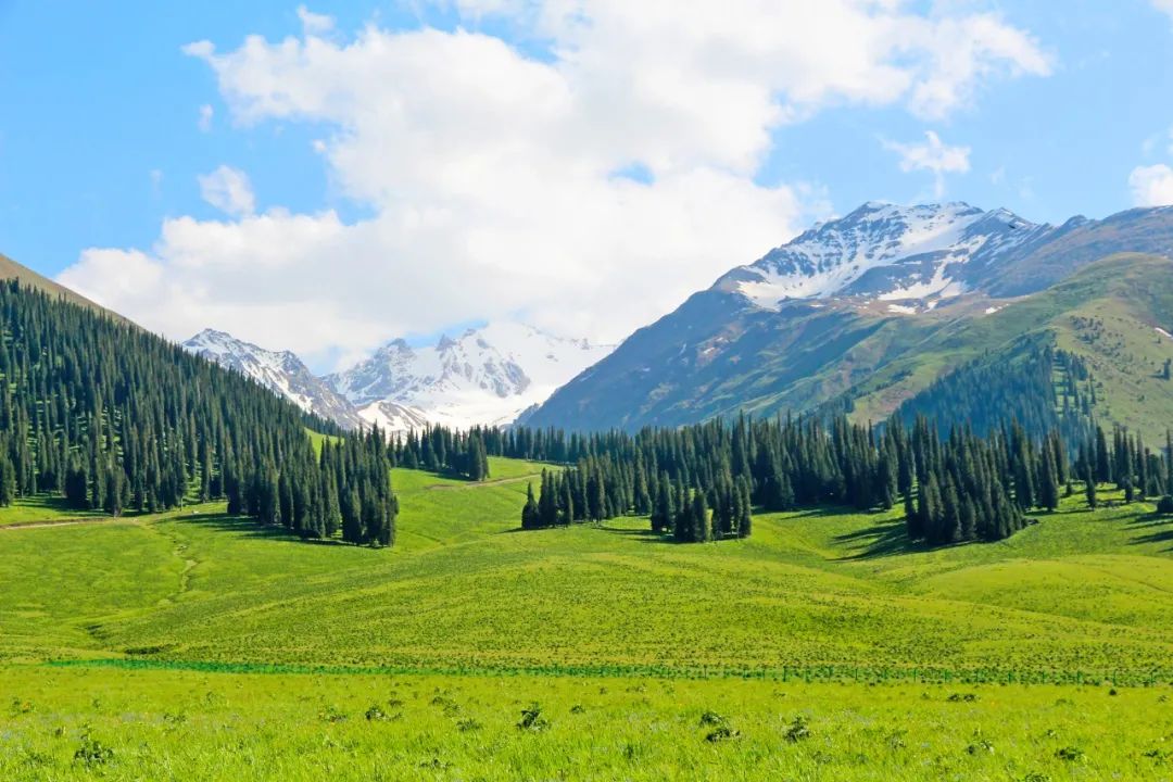 独库独行,独库南库