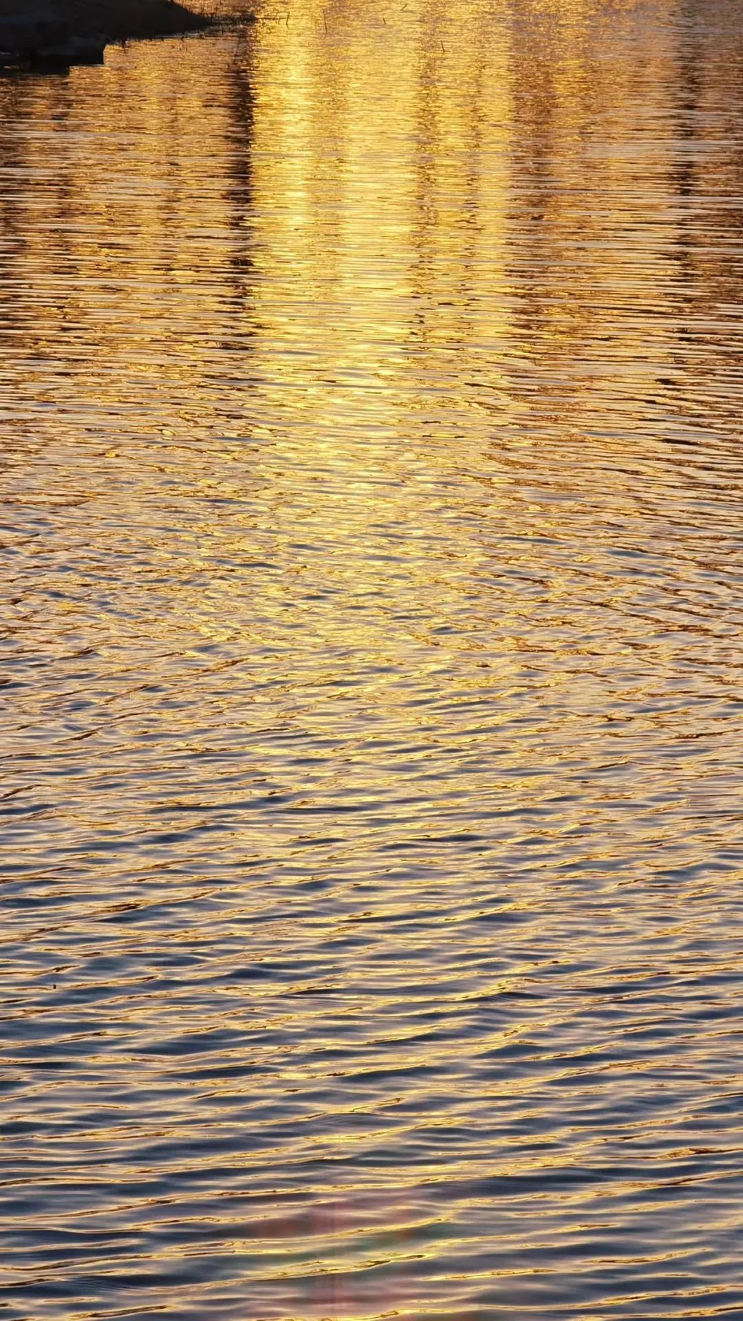 河职限量版壁纸，请查收