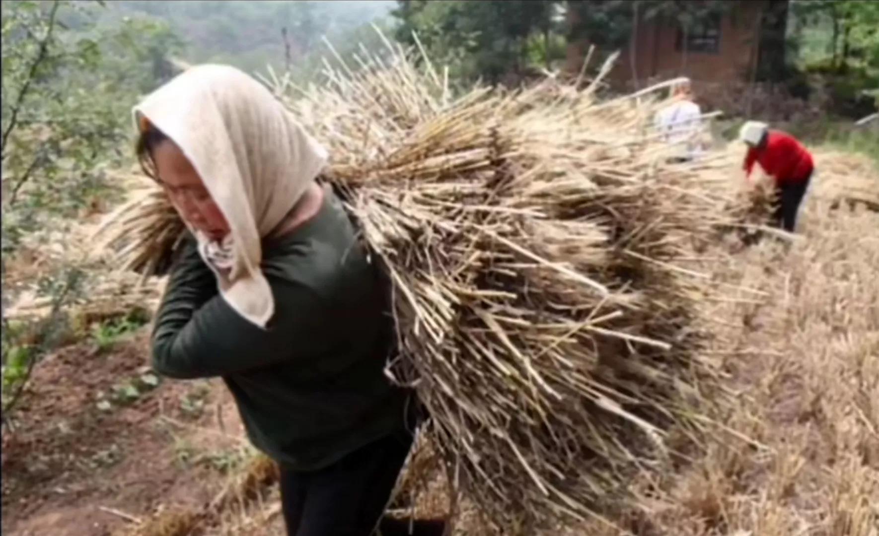中国农村里的人生意义,农民自述活着的意义