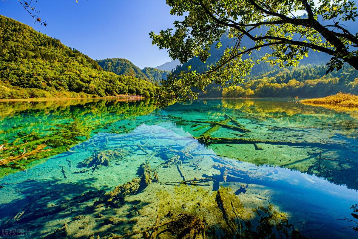 中国最美的十个地方秋天动图,中国最美的九个地方