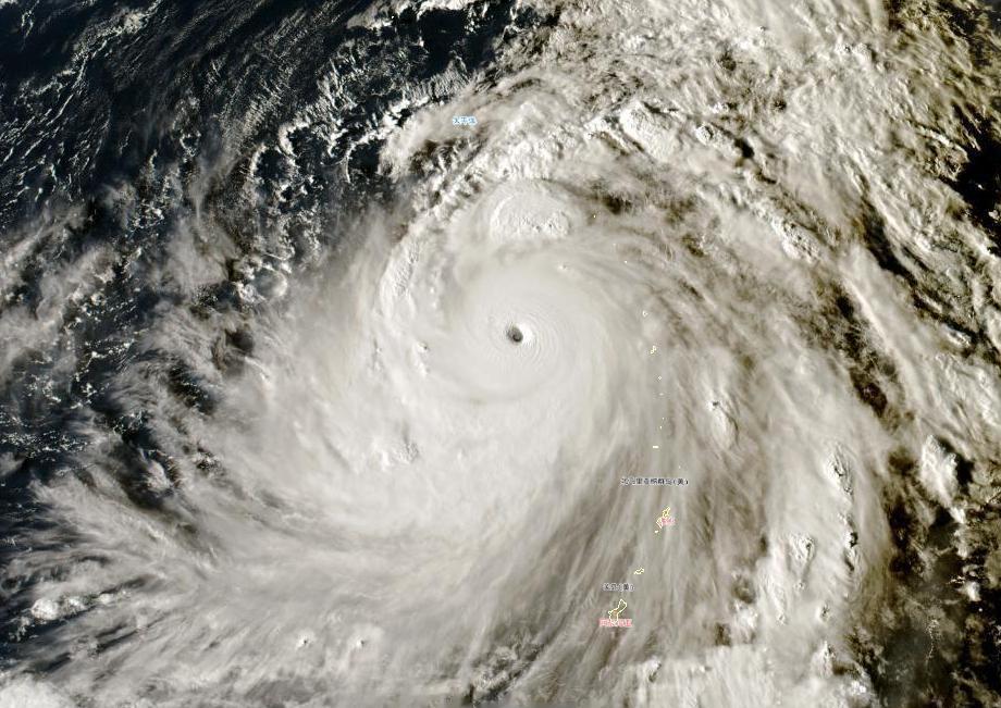 浏览器不支持该播放器,浏览器不支持的音频和视频格式