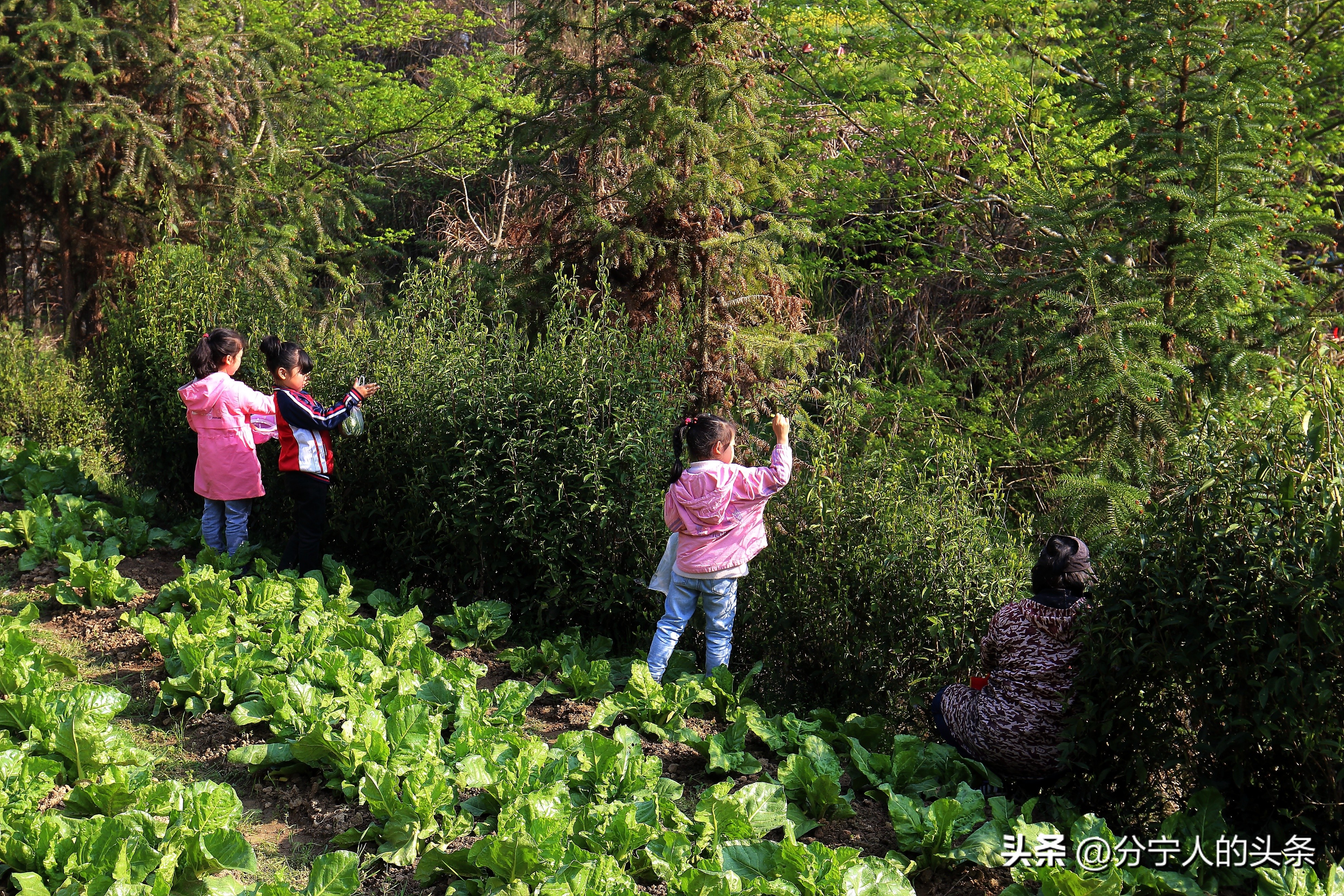 浜屽崄鍥涜妭姘斾箣璋烽洦鑺傛皵瑙嗛,浜屽崄鍥涜妭姘旇胺闆ㄥ垱鎰忔按绮夌敾