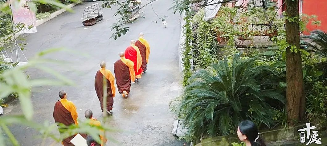 影视剧中的和尚,佛教里的僧人是什么