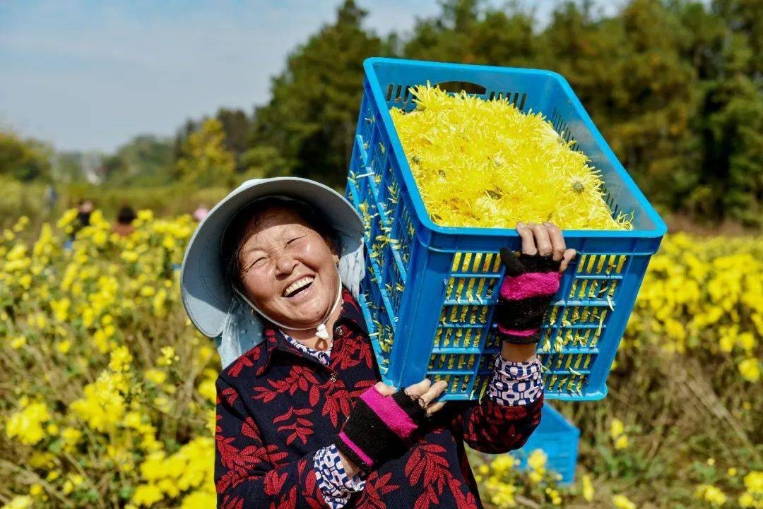 战胜困境的最好方法,怎样消除贫困促进可持续发展