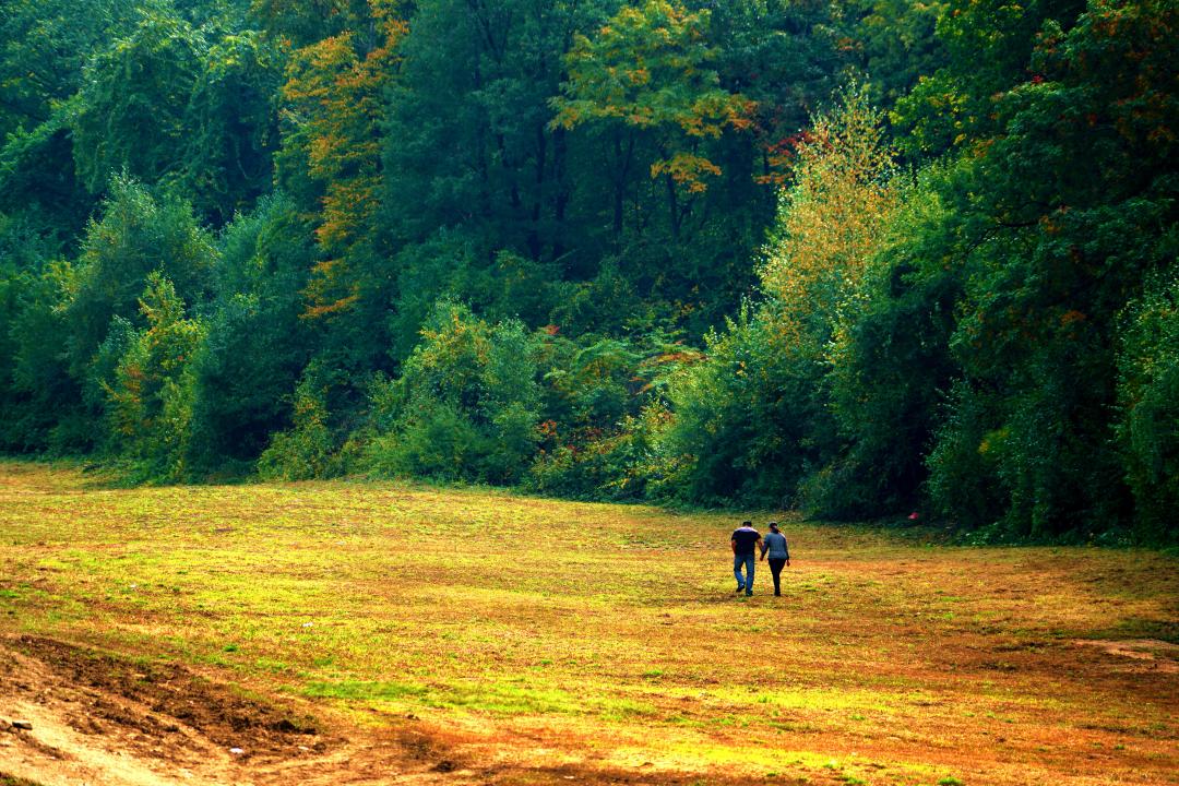 吉林秋景图,吉林秋景美图片