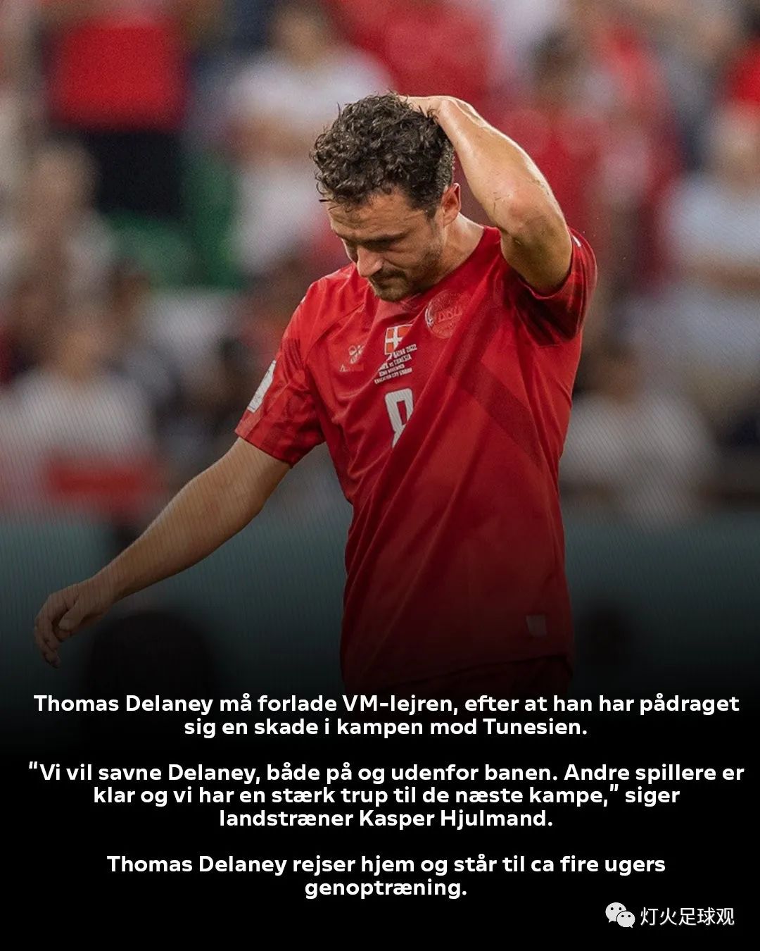 世界杯法国vs丹麦数据,世界杯丹麦vs法国结果