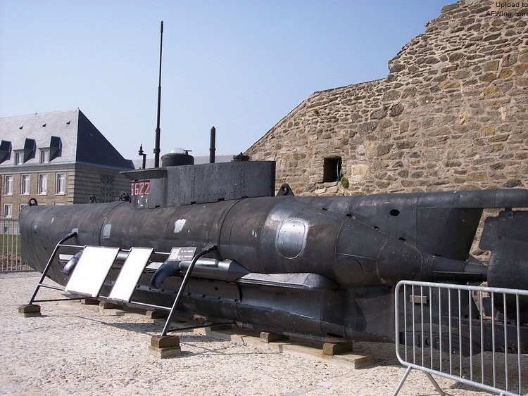 德国海军王牌潜艇,海豹的演化史