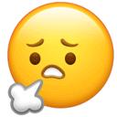 音乐合集资源,合集音乐库抖音