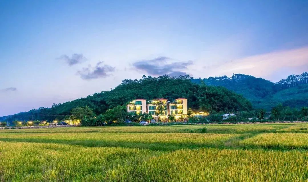 增城网红民宿别墅,增城最美花园亲子民宿