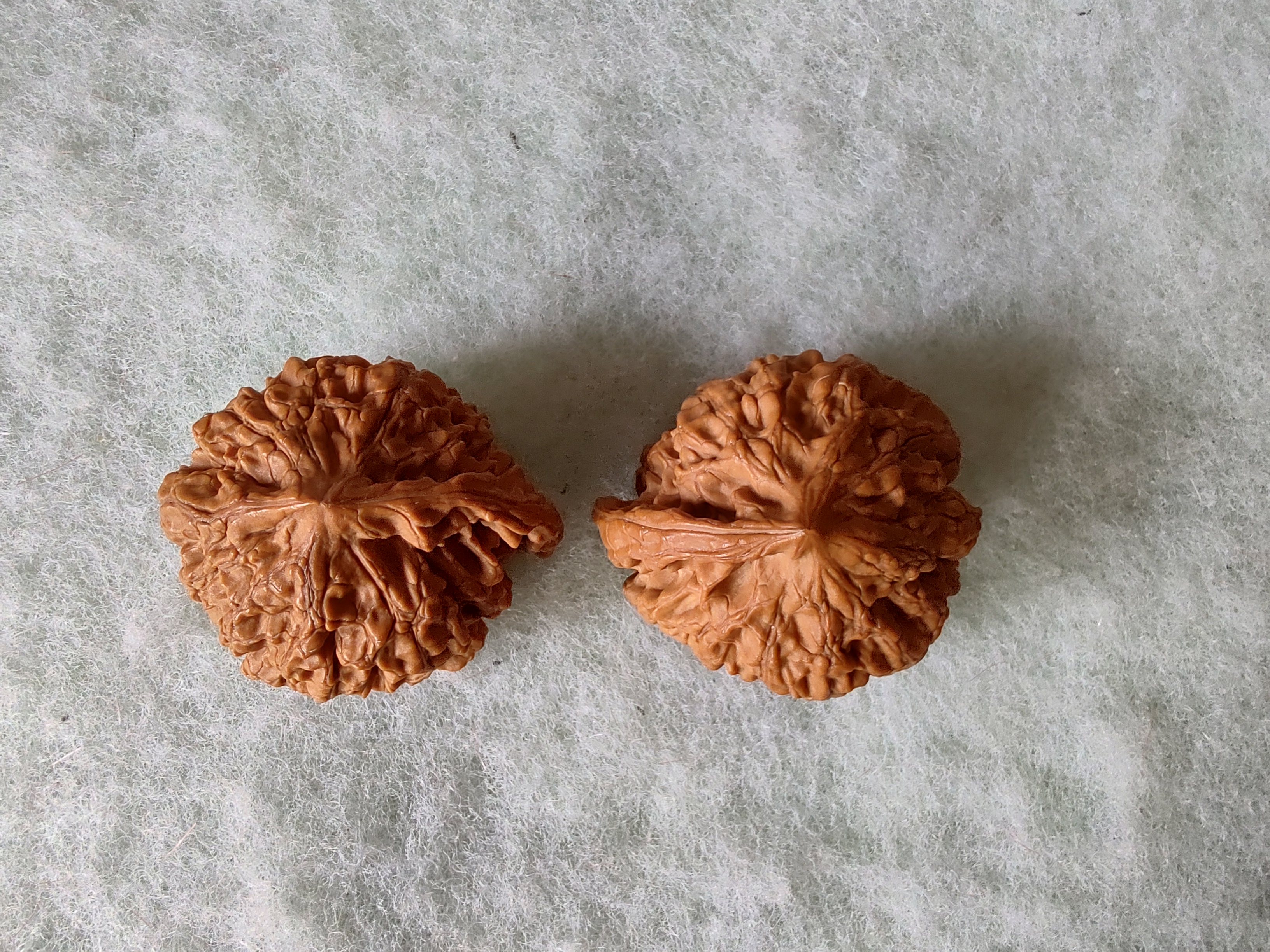 风氏文玩收藏馆:这对儿异形,是不是可以起名叫“小茶壶”呢?