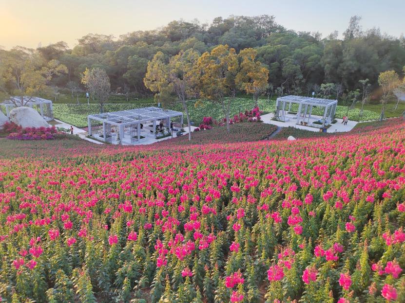 厦门山海健康步道林海线全攻略,厦门健康步道林海线二期正式开放