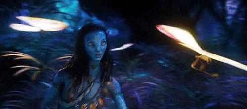 阿凡达2门票多少钱,阿凡达2高价票