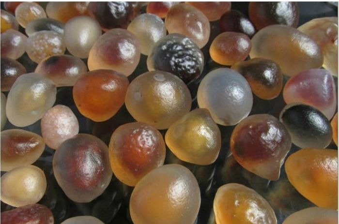 内蒙古遍地半透明石头,内蒙古发现玛瑙